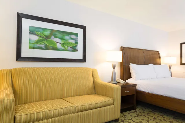 جناح بسرير كينج، Hilton Garden Inn Fort Worth North 5/10
