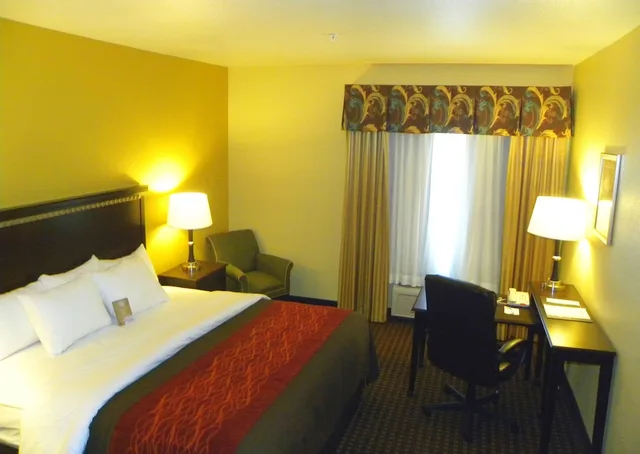 غرفة قياسية بسرير كينج، Comfort Inn and Suites Regional Medical Center 4/5