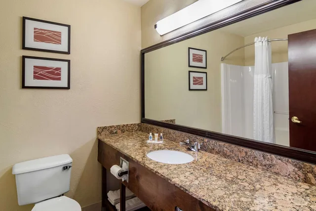 جناح بسرير كينج، Comfort Inn Suites Suwanee Sugarloaf 4/4