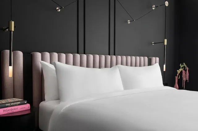 1 Bedroom, Spa, Executive, Suite, King Bed, High Floor، Renaissance Milwaukee West Hotel 3/5