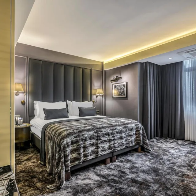 جناح ديلوكس بسرير كينج، Galata Times Boutique Hotel 1/3