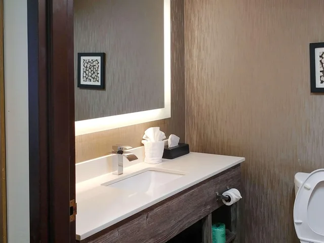 غرفة بسرير كينج لذوي الإعاقة، Comfort Inn and Suites Greenville 4/5