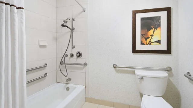 جناح بسرير كينج بحوض استحمام لذوي الإعاقة، DoubleTree Suites by Hilton Charlotte SouthPark 1/3
