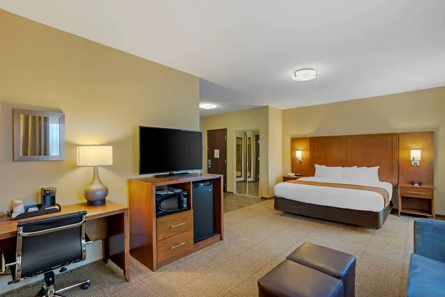 جناح بسرير كينج لذوي الإعاقة، Comfort Inn & Suites Sayre, PA 4/6