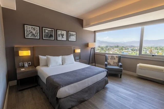 غرفة سوبيريور بسرير كينج، Hotel Terrado Rancagua 2/10