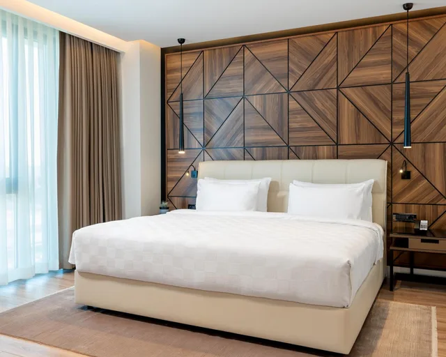 جناح جونيور، Radisson Blu Hotel Sakarya 1/3