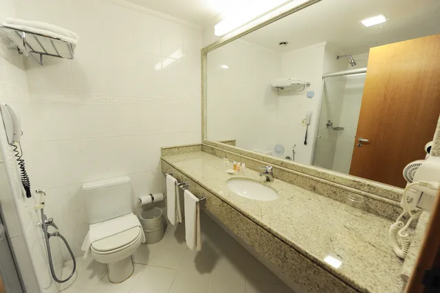 غرفة فاخرة مفردة، Bristol Santo Andre Hotel 5/5