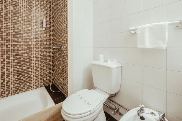 غرفة ديلوكس بسرير مزدوج أو سريرين منفصلين، Vilar Oporto Hotel 7/8