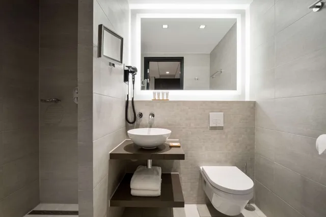 جناح استوديو سوبيريور بسرير كينج، Radisson Hotel and Suites Amsterdam South 4/6