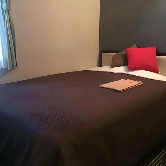 Standard, Double Bed, City View, Middle Floor, Main Building، Nagano Plaza Hotel 1/1