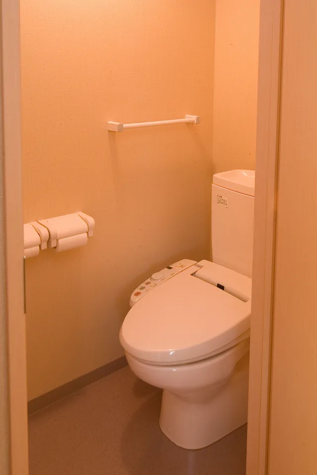 Moderate, Double Bed، Dormy Inn Niigata Natural Hot Spring 4/4