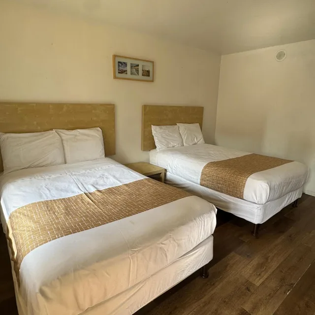 غرفة بسريرين مزدوجين، City Center Hotel 1/6