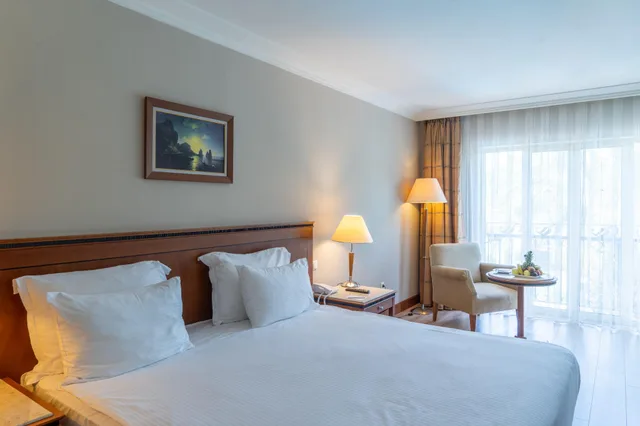 غرفة قياسية بسرير مزدوج أو سريرين منفصلين، Ic Hotels Airport 1/3