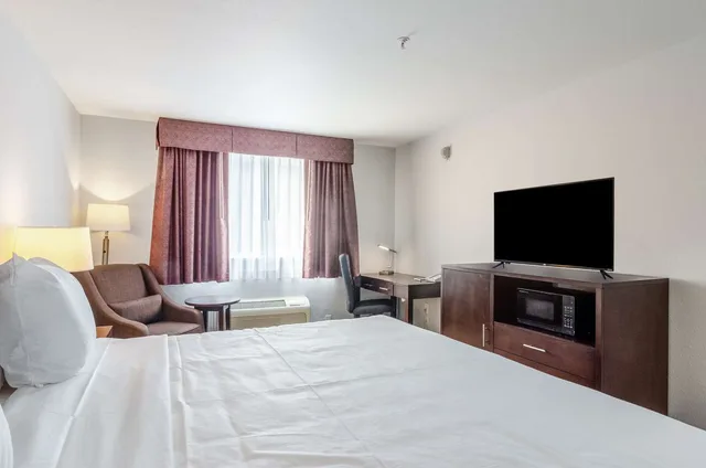 غرفة بسرير كينج، Red Lion Inn & Suites Des Moines 4/6