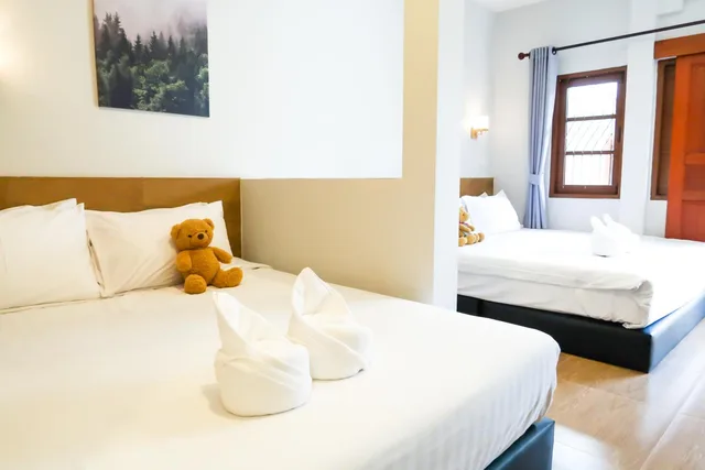 استوديو، Home de Bear 1/3