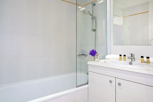 Studio, Twin Beds, Mountain View, Sejours & Affaires Les Rives Du Leman - Gex 3/4