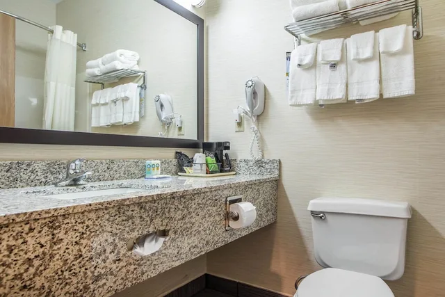 غرفة قياسية بسرير كينج، Quality Inn & Suites Bloomington I-55 and I-74 5/5