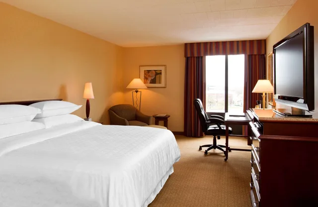 غرفة بسرير كينج لذوي الإعاقة، Radisson Hotel Hauppauge-Long Island 1/7