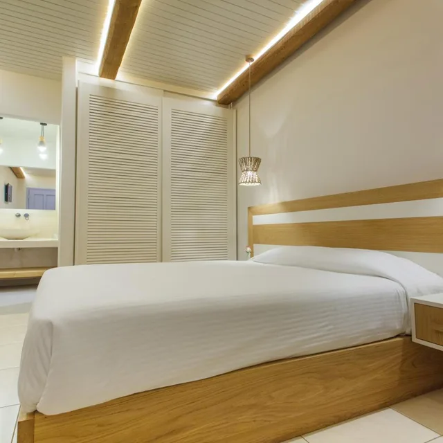 غرفة بسرير مزدوج بإطلالة على المسبح في المبنى الرئيسي، Aeolos Resort Mykonos 2/10