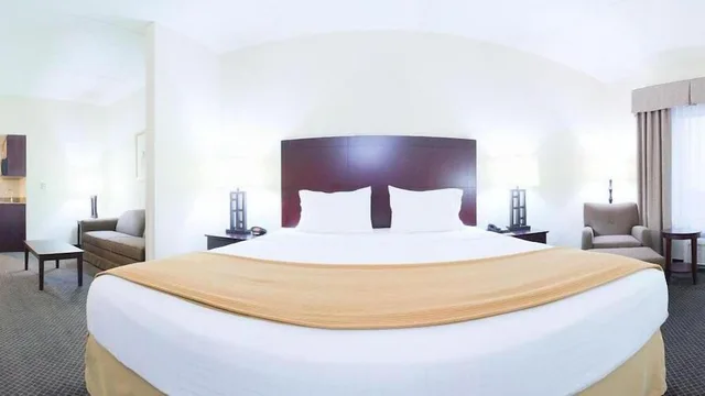 غرفة قياسية بسرير كينج، Holiday Inn Express Hotel And Suites Chicago Arpt Area West Ohare 4/5