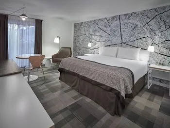 غرفة سوبيريور بسرير كينج، Coast Canmore Hotel Conference Centre 1/2