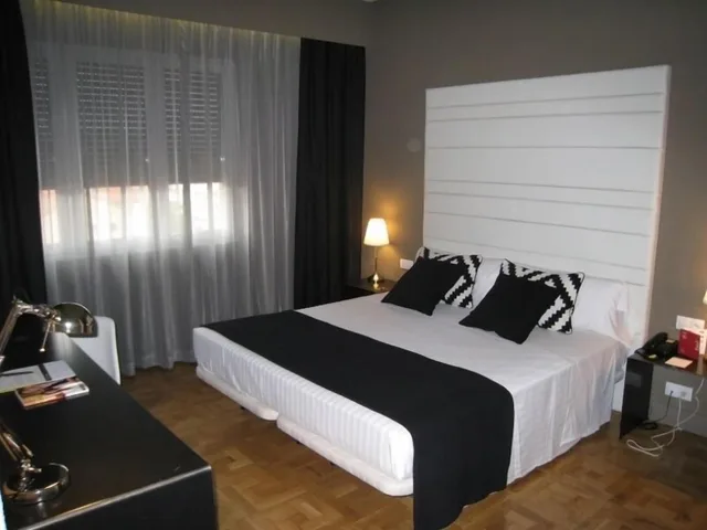 غرفة قياسية بسريرين منفصلين، Hotel Sercotel Leyre 5/10