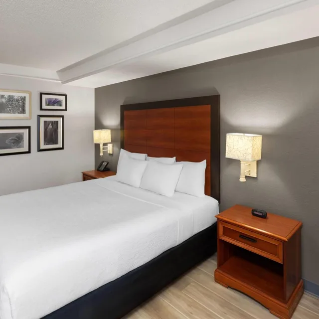 غرفة ديلوكس بسرير كينج مع أريكة، La Quinta Inn & Suites by Wyndham San Antonio Airport 3/6