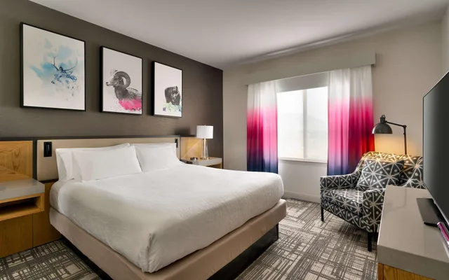 جناح، Hilton Garden Inn Bozeman 1/1