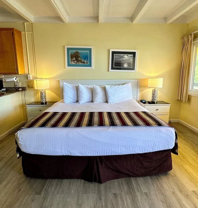 جناح بسرير كينج، El Terado Terrace Mini Suites 1/5