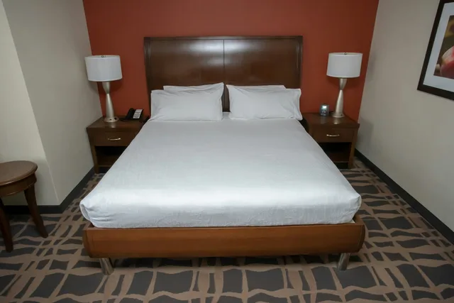 غرفة بسرير كينج، Hilton Garden Inn Dayton South-Austin Landing 4/6
