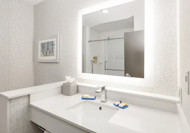 غرفة قياسية بسرير كينج يُسمح فيها بالحيوانات الأليفة، Holiday Inn Express Suites Farmers Branch 6/10