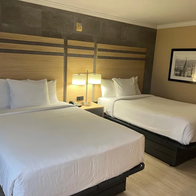 غرفة بسريرين مزدوجين، Hotel Executive Suites 4/10