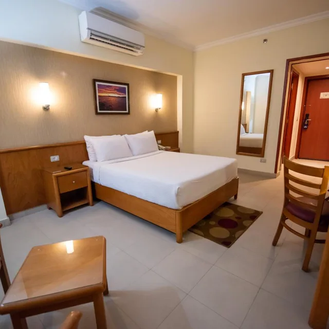 غرفة قياسية مفردة، The Grand Plaza Hotel Smouha 21/29