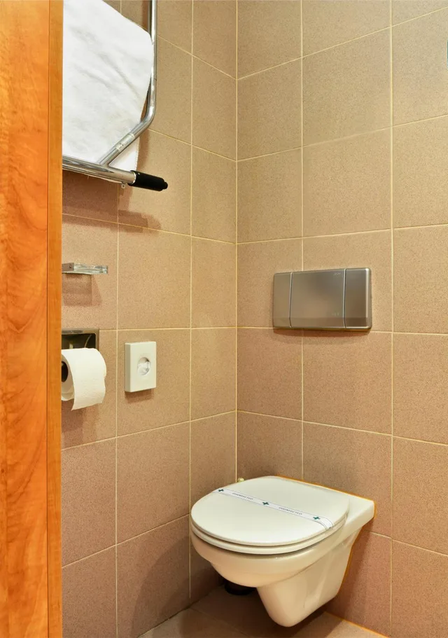 غرفة ثلاثية بسرير فردي، Olympik Hotel 6/10