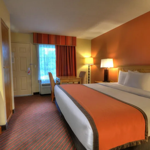Room, King Bed, City View, Accessible, Econo Lodge Pigeon Forge Riverside 3/7