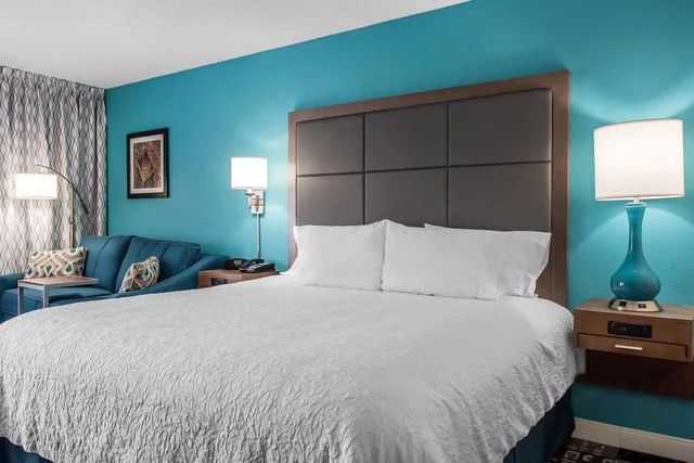 غرفة بسرير كينج مع أريكة، Hampton Inn Douglas 1/3
