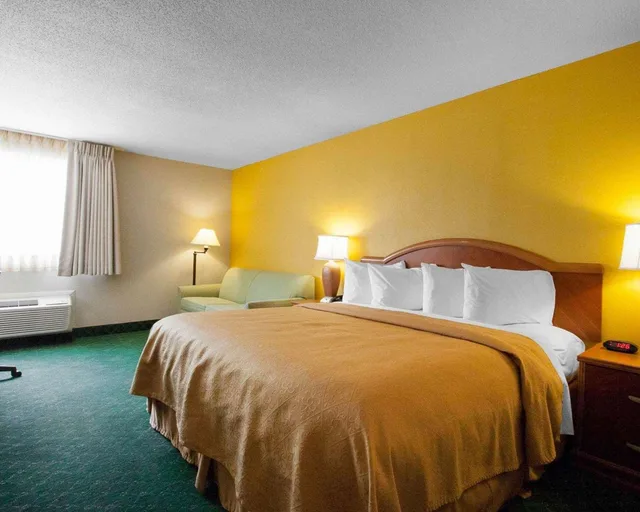 غرفة بسرير كينج، Quality Inn Cairo I-57 3/3