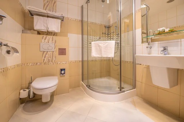 غرفة قياسية بسرير كينج، Danubia Gate Hotel 7/9