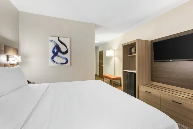 غرفة قياسية بسرير كينج، Holiday Inn Express Hotel And Suites Belgrade 3/9