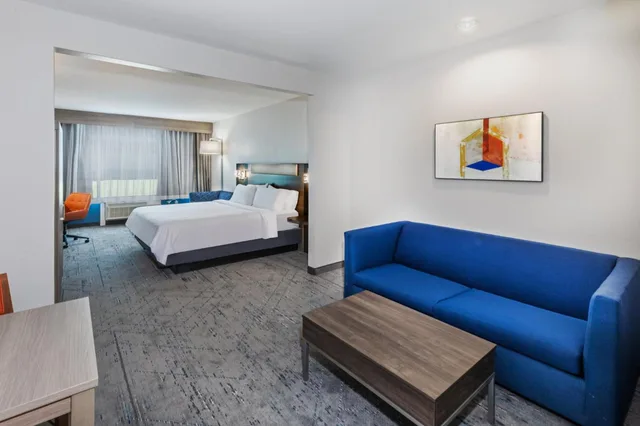 جناح بسرير كينج مع أريكة، Holiday Inn Express & Suites Houston Space Ctr - Clear Lake 4/8