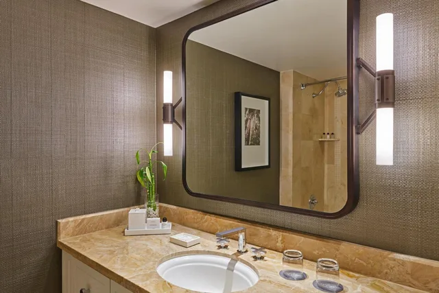 غرفة ديلوكس بسرير كينج، The Whitley A Luxury Collection Hotel Atlanta Buckhead 5/5