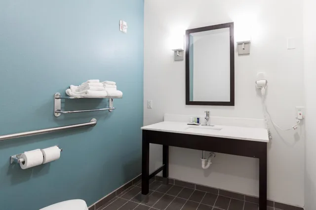 غرفة بسرير كينج بحوض استحمام لذوي الإعاقة، Sleep Inn & Suites Washington near Peoria 2/2