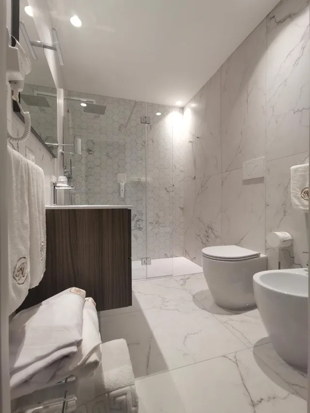 جناح ديلوكس، Hotel Astoria 9/10