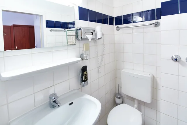 غرفة قياسية بسرير مزدوج، Hotel Europa City 7/10