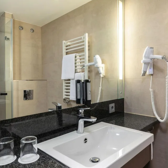 غرفة بزنس بسرير مزدوج أو سريرين منفصلين، Intercityhotel Dresden 5/5