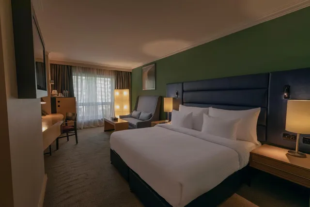 غرفة تنفيذية، Radisson Blu Heliopolis 8/10