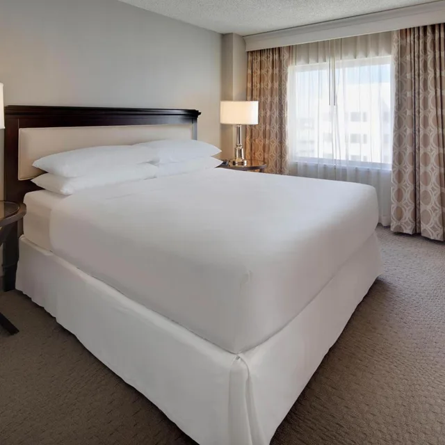 جناح بسرير كينج بغرفة نوم واحدة مع أريكة بحوض استحمام لذوي الإعاقة، Sheraton Suites Fort Lauderdale West 1/5