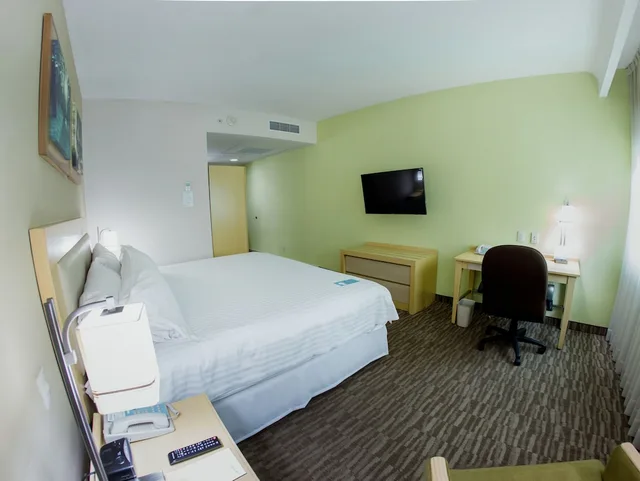 Standard, King Bed, Accessible, Excellence Express & Suites San Juan Del Rio 1/2