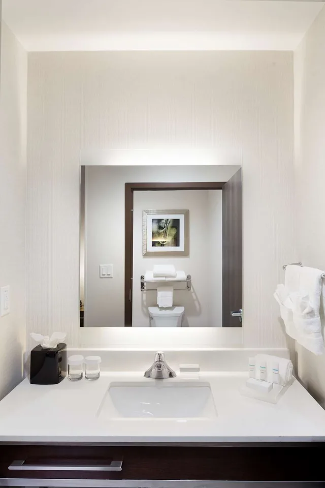 جناح استوديو بسرير كينج لذوي الإعاقة، Homewood Suites By Hilton Houston Katy Mills Mall 2/2