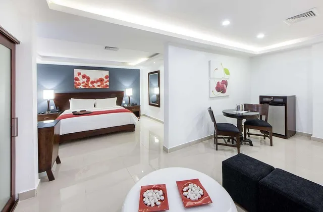 جناح بسرير كينج، Centro Plaza Hodelpa 4/8